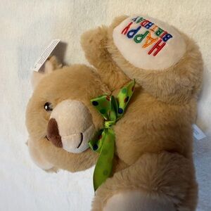 Happy Birthday Plush Bear with Green Bow